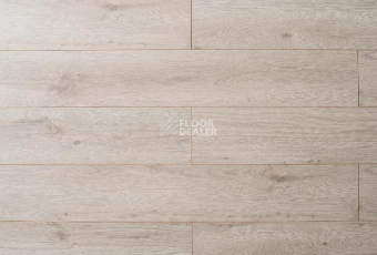 Ламинат My Step Mega 8 MS 368 Дуб Каир фото 1 | FLOORDEALER