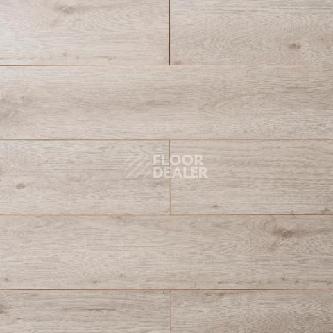 Ламинат My Step Mega 8 MS 368 Дуб Каир фото 1 | FLOORDEALER