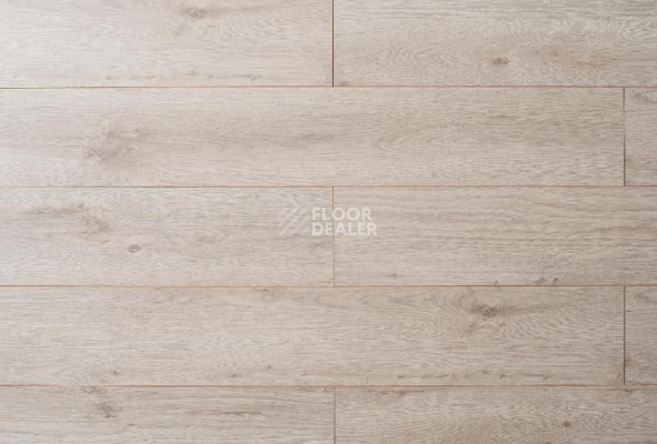 Ламинат My Step Mega 8 MS 368 Дуб Каир фото 1 | FLOORDEALER