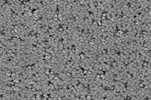 Ковролин Balsan Egerie 920 фото  | FLOORDEALER