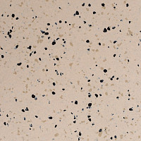 Линолеум Standard Conductive 807 Sand фото 1 | FLOORDEALER