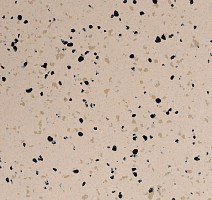 Линолеум Standard Conductive 807 Sand фото 1 | FLOORDEALER