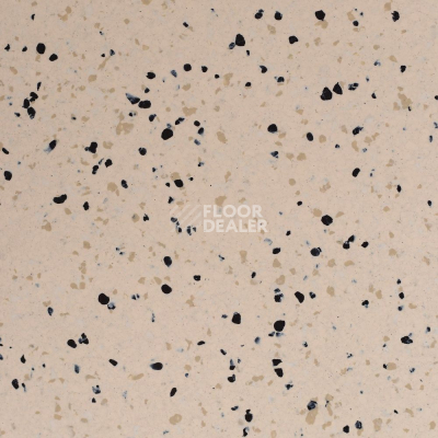 Линолеум Standard Conductive 807 Sand фото 1 | FLOORDEALER