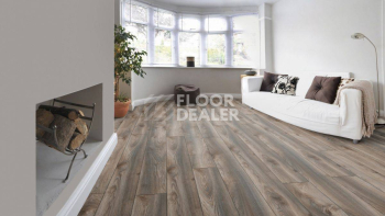 Kronotex Mammut Plus d4792 Дуб Серый Макро фото 5 | FLOORDEALER