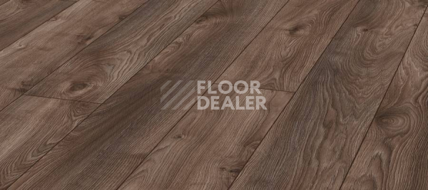 Ламинат Kronotex Mammut Plus d4791 Дуб Коричневый Макро фото 1 | FLOORDEALER