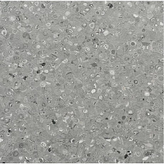 Линолеум Apoluza Tangyun 1016 фото 1 | FLOORDEALER