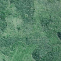 Линолеум Grabo Durity 4587-460 фото 1 | FLOORDEALER