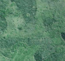 Линолеум Grabo Durity 4587-460 фото 1 | FLOORDEALER