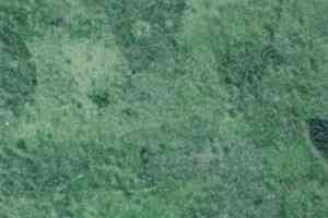 Линолеум Grabo Durity 4587-460 фото  | FLOORDEALER