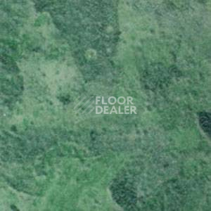 Линолеум Grabo Durity 4587-460 фото 1 | FLOORDEALER