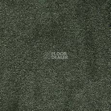 Ковролин AW Radiant 24 фото 1 | FLOORDEALER