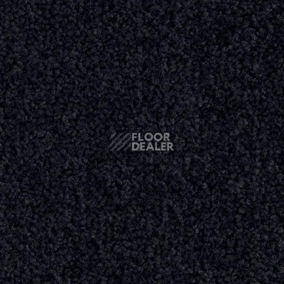 Ковровая плитка Balsan Bolero 999 фото 1 | FLOORDEALER