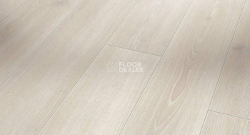 Ламинат Parador Classic 1050 4V 1601447 Дуб Скайлайн Белый фото 1 | FLOORDEALER