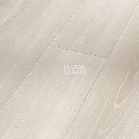 Ламинат Parador Classic 1050 4V 1601447 Дуб Скайлайн Белый фото 1 | FLOORDEALER