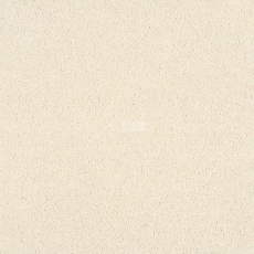 Tarkett Sensa Sensa 07068 фото 1 | FLOORDEALER