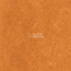 Линолеум Marmorette DLW 2.5mm 121-174 фото 1 | FLOORDEALER