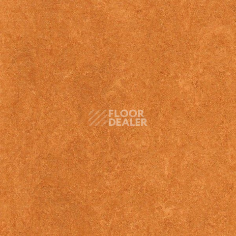 Линолеум Gerflor Marmorette DLW 2.5mm 121-174 фото 1 | FLOORDEALER