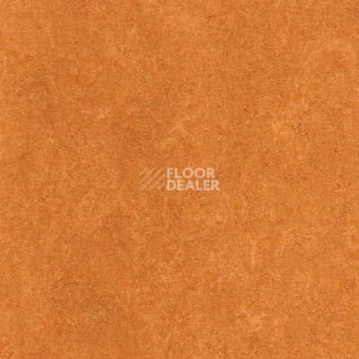 Линолеум Gerflor Marmorette DLW 2.5mm 121-174 фото 1 | FLOORDEALER