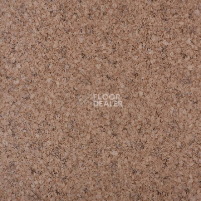 Линолеум Tarkett Eruption Sarah 0 фото 1 | FLOORDEALER