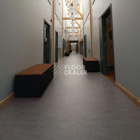 Forbo Marmoleum Marbled Real 2629 Eiger фото 2 | FLOORDEALER