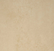 Линолеум Forbo Emerald Standart 72411 фото 1 | FLOORDEALER