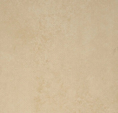 Линолеум Forbo Emerald Standart 72411 фото 1 | FLOORDEALER