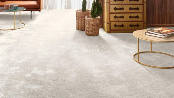 Vorwerk Exclusive 1060 Safira 6c67 фото 2 | FLOORDEALER