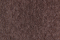 Flotex Colour s 482023 Penang Dusk фото 2 | FLOORDEALER