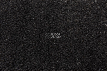 Ковролин AW Prima AW Prima 99 фото 1 | FLOORDEALER