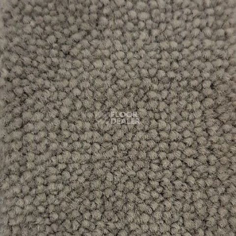 Ковролин Condor Carpets Marriott 76 фото 1 | FLOORDEALER