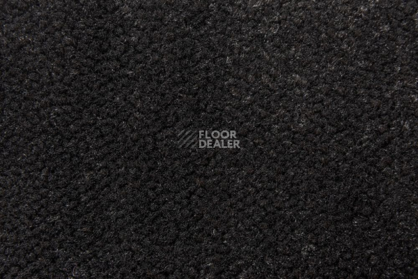 Ковролин AW Prima AW Prima 99 фото 1 | FLOORDEALER