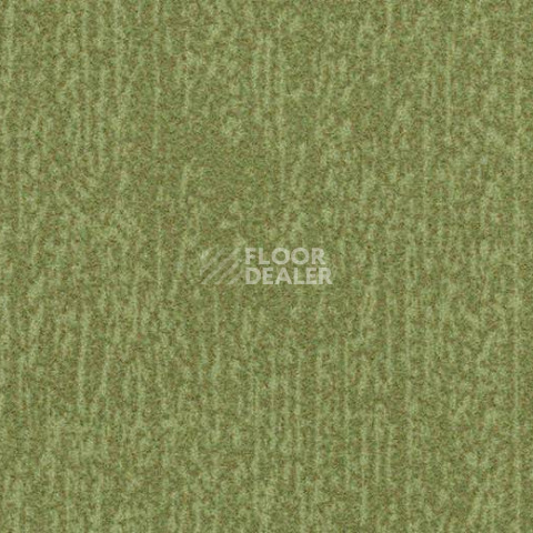 Ковролин Forbo Flotex Colour s 445027 Canyon Kelp фото 1 | FLOORDEALER
