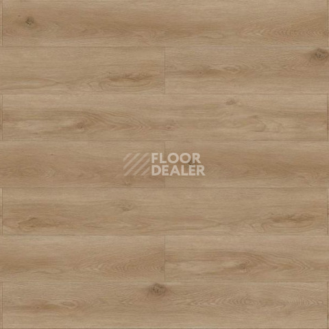 Evofloor Life Click 4.2мм Дуб Самос фото 3 | FLOORDEALER