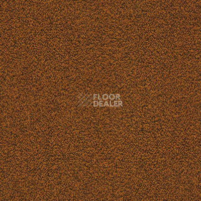 Ковровая плитка Interface X-Loop 5388 фото 1 | FLOORDEALER