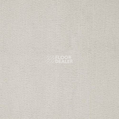 Ковролин Balta ITC Prominent 38 фото 1 | FLOORDEALER