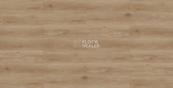 Кварцвиниловые полы Evofloor Life Click 4.2мм Дуб Самос фото 3 | FLOORDEALER