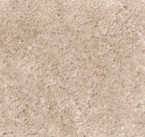 Ковролин AW Masquerade Euphoria 33 фото 1 | FLOORDEALER