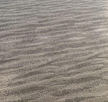 Ковролин Innova Дюны 1677 / 03 Серый фото 1 | FLOORDEALER