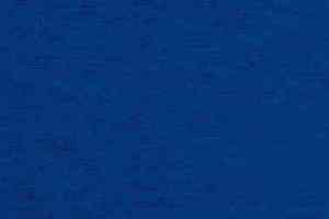 Ковролин Balta ITC Parma 77 фото  | FLOORDEALER