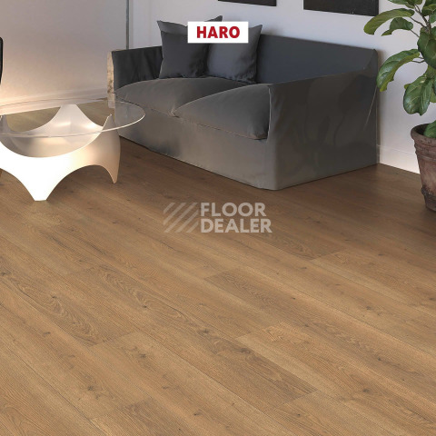 Haro Tritty 100 4V Дуб Флавия Натур 544708 фото 3 | FLOORDEALER