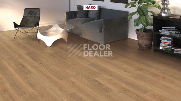 Ламинат Haro Tritty 100 4V Дуб Флавия Натур 544708 фото 3 | FLOORDEALER
