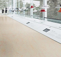 Forbo Marmoleum Decibel on Order 325735 edelweiss фото 2 | FLOORDEALER