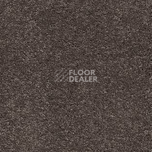 Ковролин AW VivendiI Aaura 44 фото 1 | FLOORDEALER
