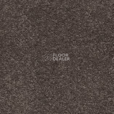 Ковролин AW VivendiI Aaura 44 фото 1 | FLOORDEALER