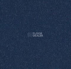 Ковровая плитка Westbond Ibond синяя гамма 9728 фото 1 | FLOORDEALER