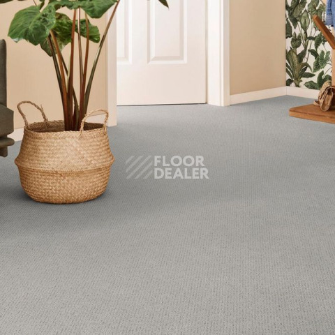 Vorwerk Superior 1071 Vorwerk 5y28 фото 2 | FLOORDEALER