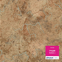 Линолеум Tarkett Грация NUBIA 3 фото 1 | FLOORDEALER