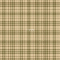 Agnella Creation Tenin Moss фото 1 | FLOORDEALER