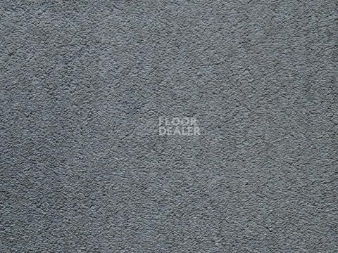 Ковролин In-Tense 97 фото 1 | FLOORDEALER