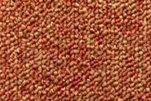 Ковровая плитка Escom Nice 123 фото  | FLOORDEALER